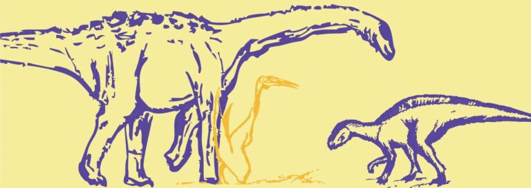 Silhouettes de dinosaures dessinées, illustration de l'exposition Dinosaures de Provence