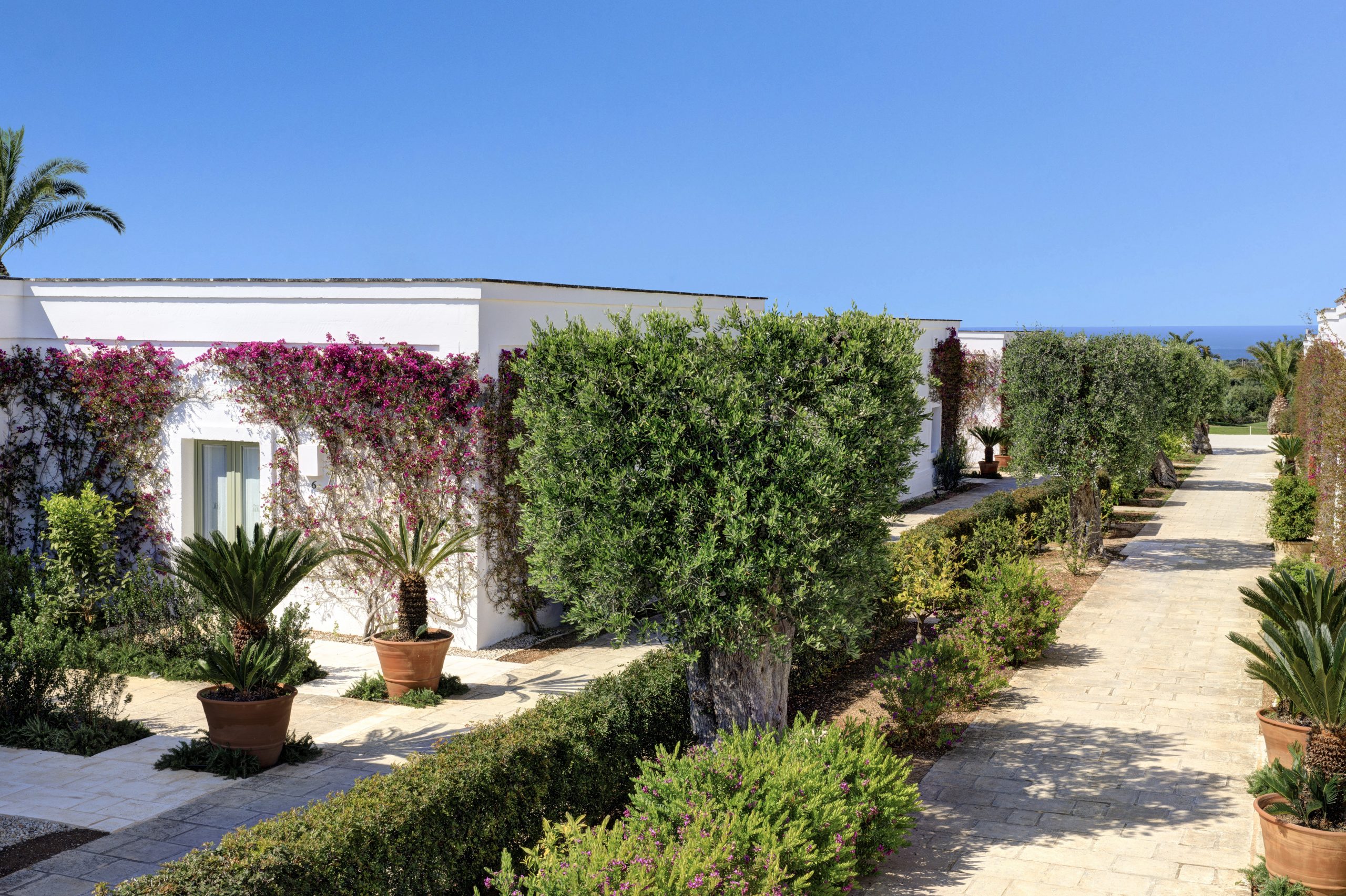 Allées fleuries et oliviers de la Masseria Torre Maizza, dans les Pouilles