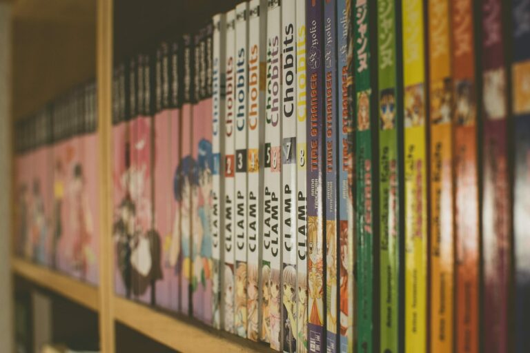 Rayonnage de librairie rempli d’albums et de volumes de bande dessinée alignés par la tranche