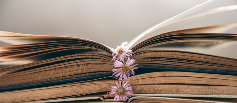 Gros plan sur des pages ouvertes de livres anciens empilés, devant un fond flou