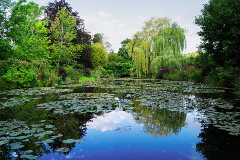Étang aux nymphéas du jardin de Claude Monet à Giverny, bordé de saules et d’arbres sous un ciel bleu
