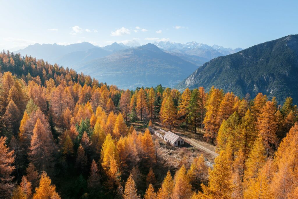 Mélèzes dorés et vallée de Serre-Chevalier en automne