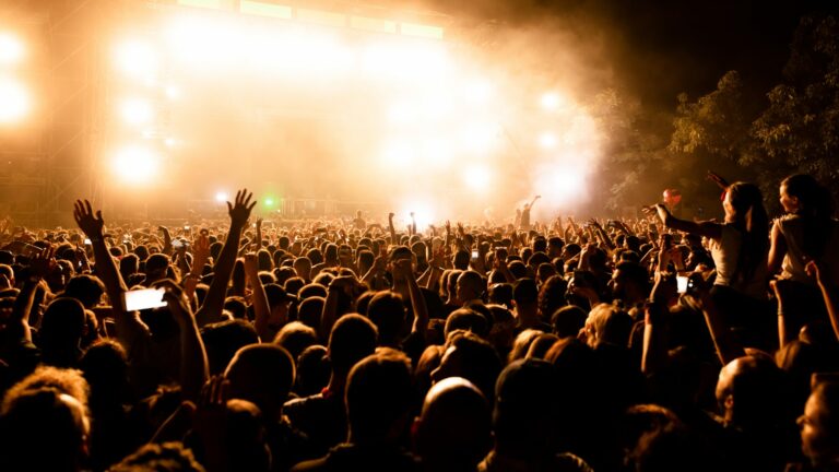 Public nombreux vu de dos devant une scène de concert éclairée, de nuit